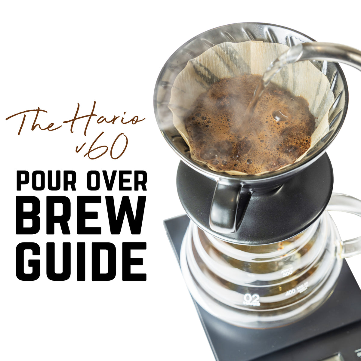 Hario V60 Pour Over Brew Guide