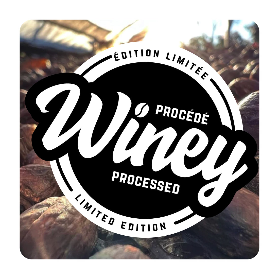 Procédé Winey | Winey Process