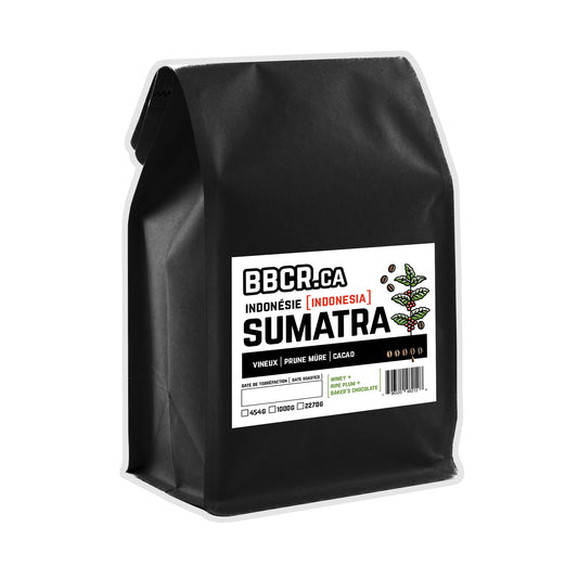 Indonésie : Sumatra / Indonesia: Sumatra / BBCR.ca