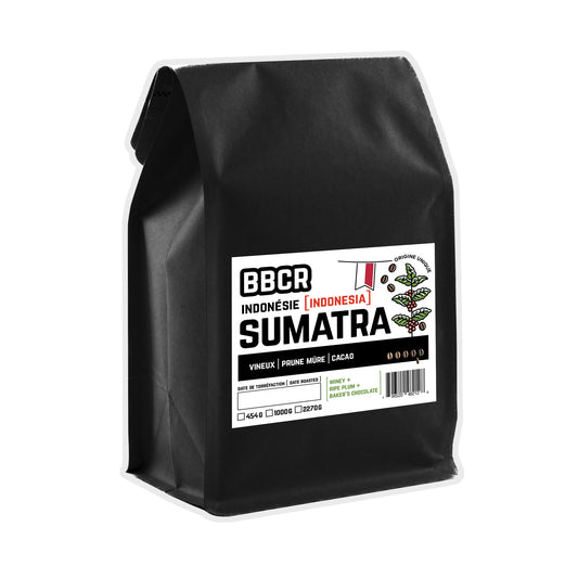 BBCR Indonésie : Sumatra / BBCR Indonesia: Sumatra 