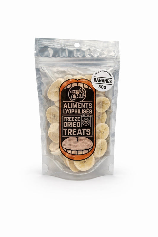 Bananes Lyophilisées