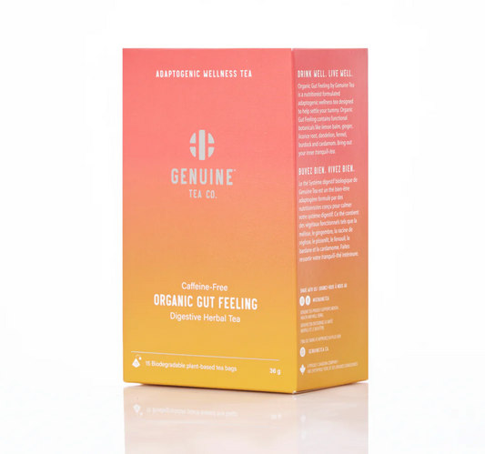 Sachets de thé pyramidaux biologiques pour le bien-être intestinal